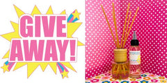 GIVEAWAY - TEN (10) Reed Diffuser Air Fresheners - CLOSED 9/18/24 - Somethin Special Shop