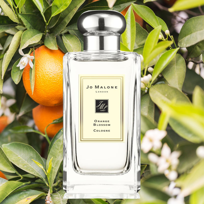 JM Orange Blossom Perfume Sample Inspired by Jo Malone