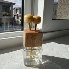 Mini Reed Oil Diffuser - Car & Home Fragrance