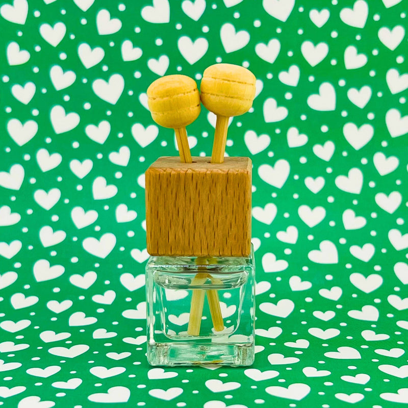 Mini Reed Oil Diffuser - Car & Home Fragrance