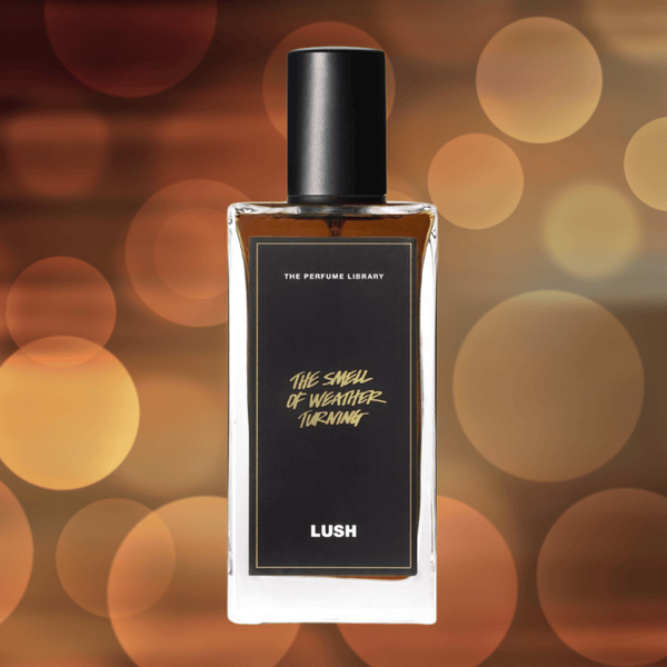 The Smell of Weather Turning Dupe | Lush Type Rain Scent