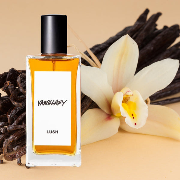 Lush Dupes Fragrances Similar to Lush Somethin Special Shop